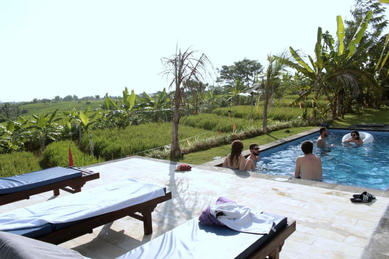 De Vir House Apartment Canggu  Exterior photo